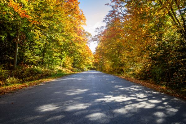 Cost of Blacktop Replacement in Morgan Hill